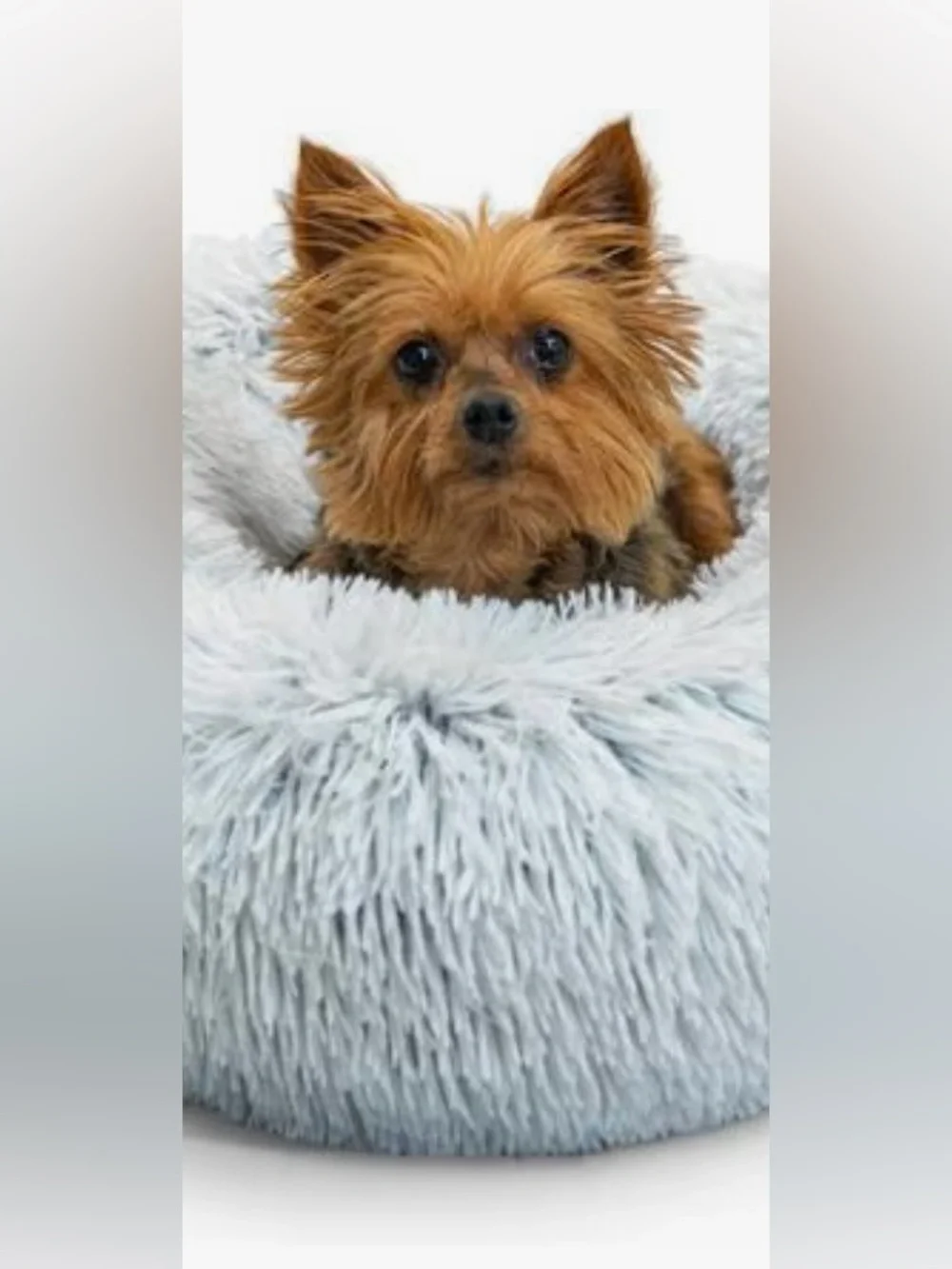 3/$30 Plush Donut Dog Bed - Light Gray Cozy Bed for Small Dogs/Cats up to 25 lb